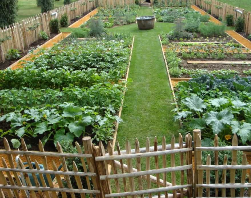 Vegetable Garden 2022